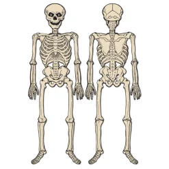 Online The Jolly Christmas Shop Beistle Vintage 4' 3" Halloween Jointed Skeleton Decoration 01178