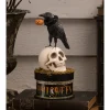 Best The Jolly Christmas Shop Bethany Lowe 9" Crow And Skull On Box Halloween Decoration TL3356