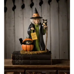 Best The Jolly Christmas Shop Bethany Lowe 9.25" Trick Or Treat Callie Witch Halloween Figure TD3151