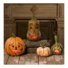 The Jolly Christmas Shop Bethany Lowe Kooky Pumpkin And Gourd Halloween Figures
