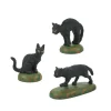Hot The Jolly Christmas Shop Department 56 Halloween Village A Clowder Of Black Cats Figure 6007711