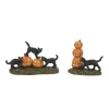 Best The Jolly Christmas Shop Department 56 Halloween Village Scary Cats And Pumpkins Figure 6012285