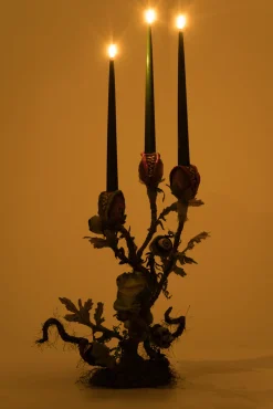 Clearance The Jolly Christmas Shop Katherine's Collection 18" Enchanted Plant Candelabra Halloween Decoration 28-428177