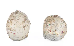 Discount The Jolly Christmas Shop Katherine's Collection 8.5" Tabletop Jewel Encrusted Skull Figures Set Of 2 Halloween Decoration 28-428214