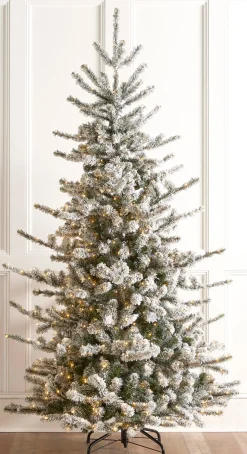 Clearance The Jolly Christmas Shop Raz 7.5', 9', Or 12' O Tannenbaum Snowy Rocky Mountain Spruce Christmas Tree With LED Lights