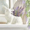 Discount The Jolly Christmas Shop Raz 8.5" Bunny Container Easter Decoration 4216087