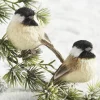 New The Jolly Christmas Shop Raz 3.5" Clip On Bird Christmas Ornament 4153305