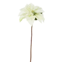 New The Jolly Christmas Shop Raz 24.5" Cream Poinsettia Stem Christmas Tree Accessory F4341710