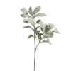 Best The Jolly Christmas Shop Raz 18" Flocked Lamb's Ear Christmas Tree Pick F4422680
