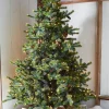 Clearance The Jolly Christmas Shop Raz 7.5' Forever Lit Green Big Sky Spruce Christmas Tree T4352009