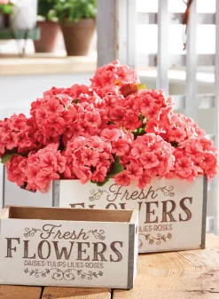 Online The Jolly Christmas Shop Raz 13.5" Fresh Flowers Spring Crates 4211272