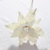 Outlet The Jolly Christmas Shop Raz 19.5" Glittered White Poinsettia Christmas Pick F4306668