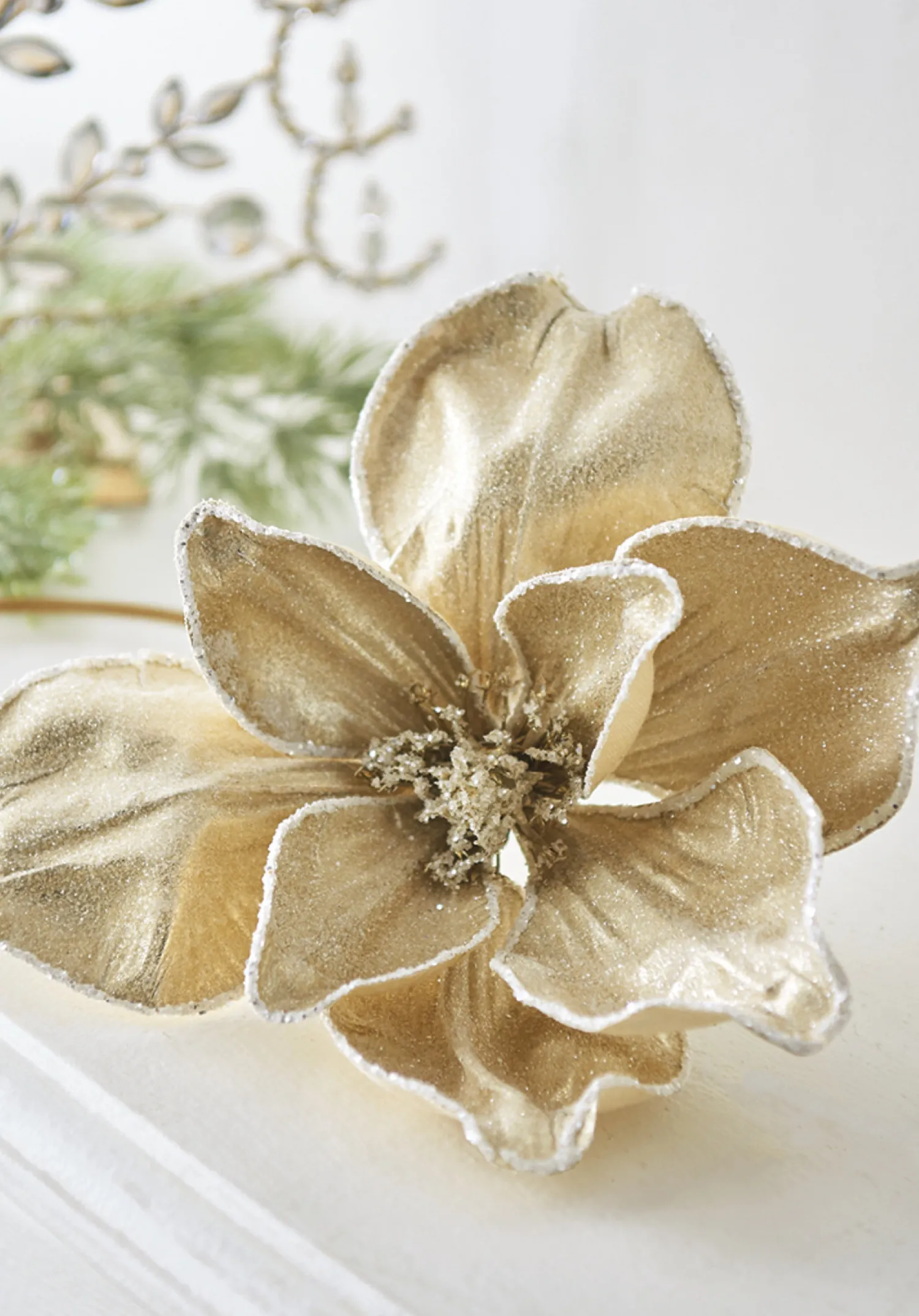 The Jolly Christmas Shop Raz 24" Iced Champagne Magnolia Stem Christmas Tree Spray F4206772