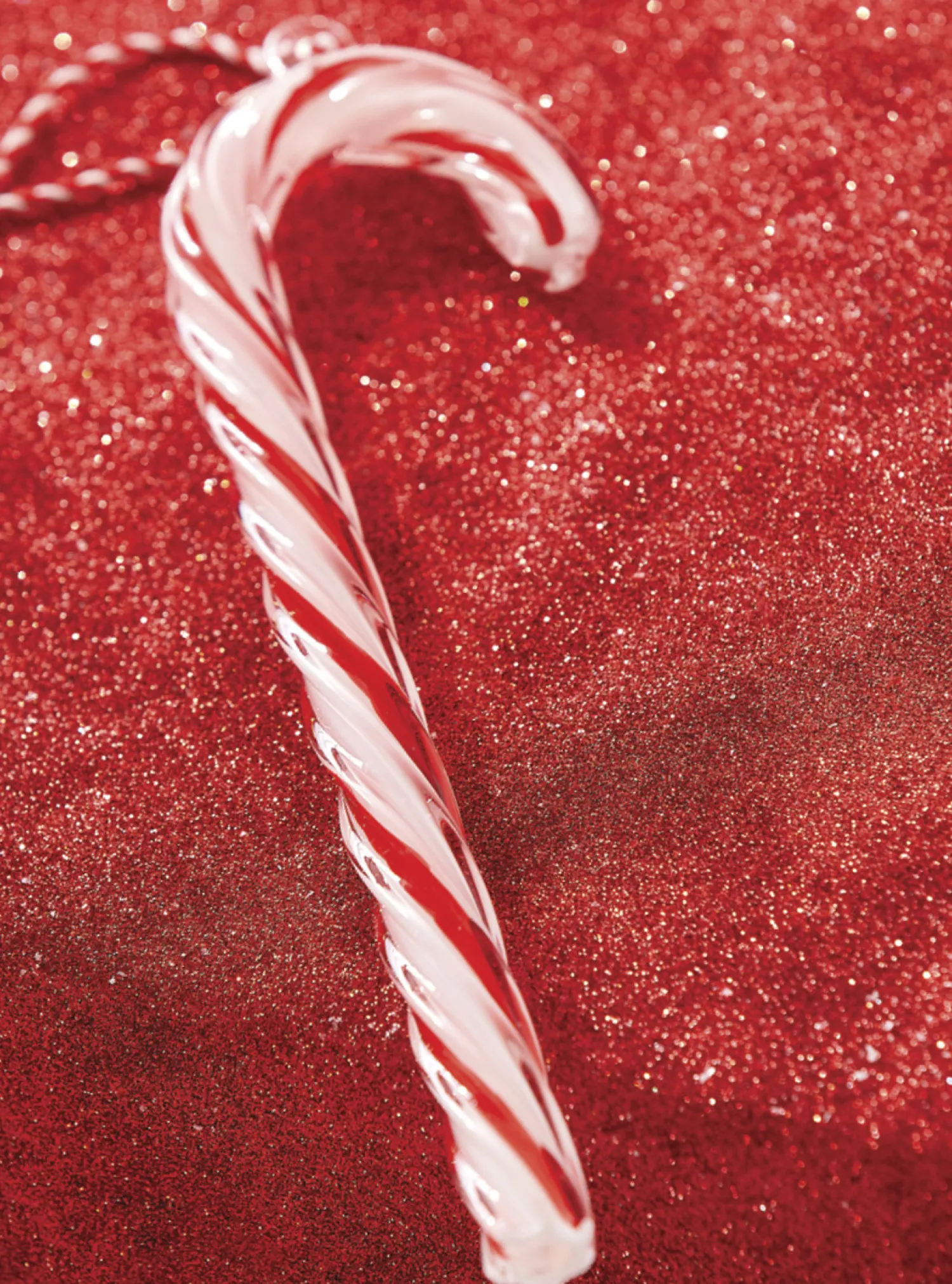 The Jolly Christmas Shop Raz 9.5" Large Glass Candy Cane Glass Christmas Ornament 4224561
