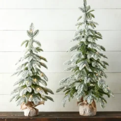 Clearance The Jolly Christmas Shop Raz 28" Or 36" Flocked Pine Christmas Tree In Bag With Battery Operated Warm White Lights