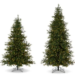Clearance The Jolly Christmas Shop Raz 7.5' Or 9' O Tannenbaum Aspen Fir Real Feel Christmas Tree With Brilliant LED Lights