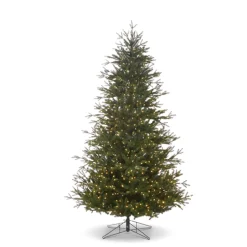 Outlet The Jolly Christmas Shop Raz 7.5' Or 9' O Tannenbaum Nordic Fir Real Feel Christmas Tree With Brilliant LED Lights