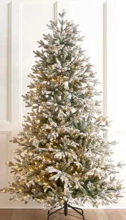 Clearance The Jolly Christmas Shop Raz 7.5' Or 9' O Tannenbaum Snowy Nordic Fir Christmas Tree With Brilliant LED Lights