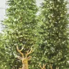 Sale The Jolly Christmas Shop Raz 7.5' Or 9' Snake Light Green Slim Spruce Artificial Christmas Tree