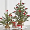 Online The Jolly Christmas Shop Raz 14.25" Or 16" Tree With Cardinals In Burlap Bag Christmas Decoration