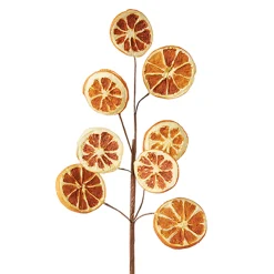 Online The Jolly Christmas Shop Raz 18.5" Orange Slice Christmas Tree Spray F4202295
