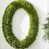 Best The Jolly Christmas Shop Raz 30.5" Oval Real Feel Cedar Christmas Wreath W4341737