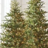 Best The Jolly Christmas Shop Raz 7.5' Pre-lit Green Mountain Fraser Fir Christmas Tree T4147025