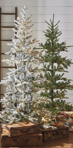 Sale The Jolly Christmas Shop Raz 7.5' Pre-Lit Green Noble Fir Christmas Tree T4147022