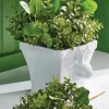 Clearance The Jolly Christmas Shop Raz 9" Rabbit Cachepot Easter Or Spring Decoration 4201615