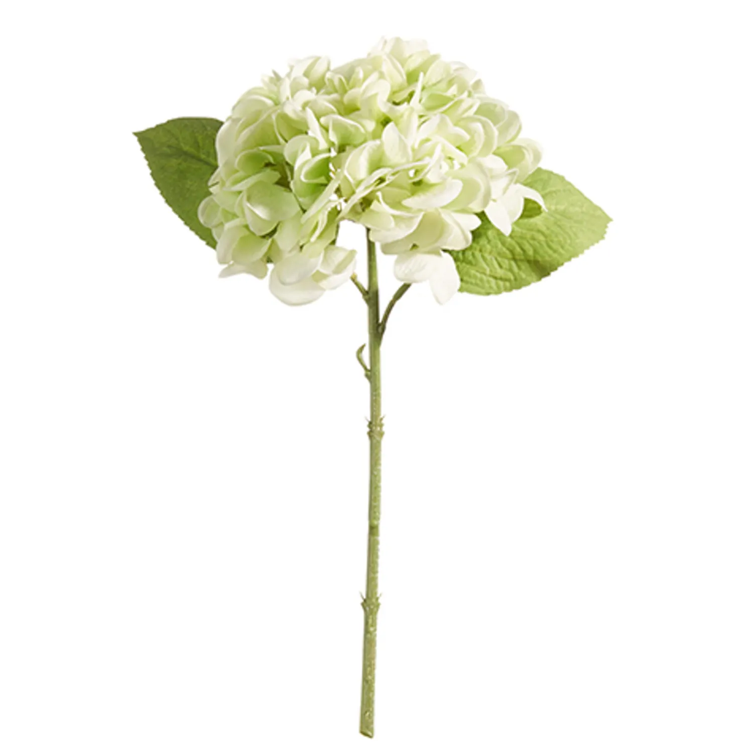 Clearance The Jolly Christmas Shop Raz 13" Real Feel Green Hydrangea Stem Christmas Decoration XF4322680