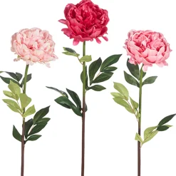 Outlet The Jolly Christmas Shop Raz 25" Real Feel Peony Stem Christmas Pick XF4002107