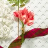 Sale The Jolly Christmas Shop Raz 12.5" Real Feel Pink Amaryllis Bundle Christmas Tree Accessory F4302309