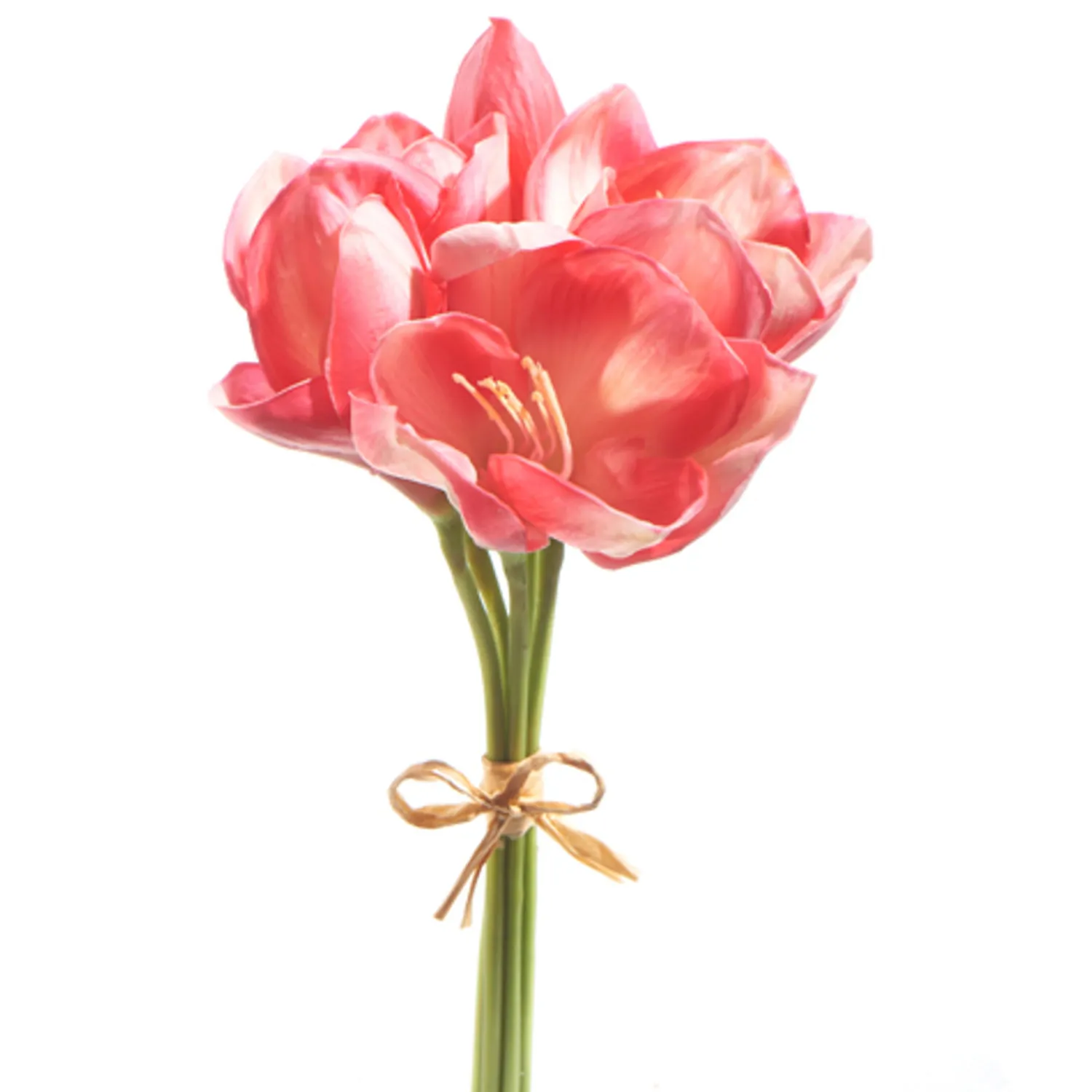 Sale The Jolly Christmas Shop Raz 12.5" Real Feel Pink Amaryllis Bundle Christmas Tree Accessory F4302309