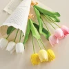 New The Jolly Christmas Shop Raz 20" Real Feel Tulip Bundle F4202255