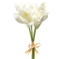 Online The Jolly Christmas Shop Raz 12" Real Feel White Amaryllis Bundle F4302310