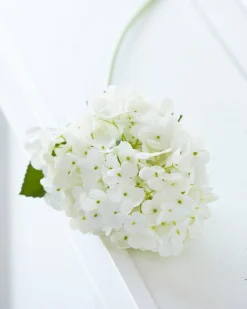 The Jolly Christmas Shop Raz 29" Real Feel White Hydrangea Stem F4441834