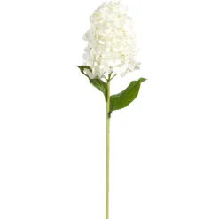The Jolly Christmas Shop Raz 29" Real Feel White Hydrangea Stem F4441834