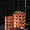 Clearance The Jolly Christmas Shop Raz 10" Retro Party Cat Bag Metal Container Halloween Decoration Set 2 4411222