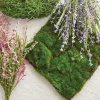 Online The Jolly Christmas Shop Raz 11.5" Sheet Of Moss Decoration 4222701