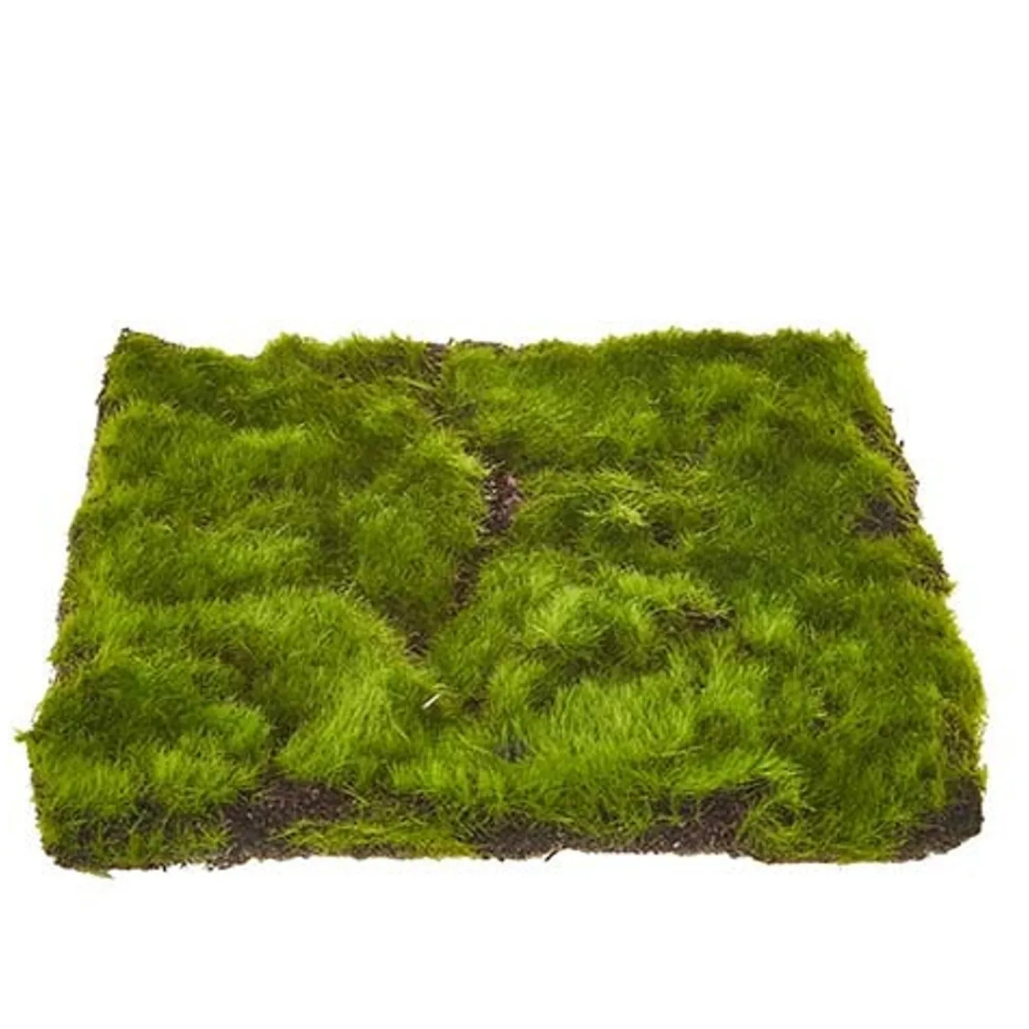 Online The Jolly Christmas Shop Raz 11.5" Sheet Of Moss Decoration 4222701
