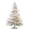 The Jolly Christmas Shop Raz 7.5" Snake Light Flocked Aurora Spruce Christmas Tree T4252035