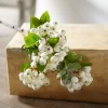 Hot The Jolly Christmas Shop Raz 22.75" Snowy White Berry Bush Christmas Tree Pick F4212932