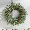Best The Jolly Christmas Shop Raz 26" Variegated Holly Leaf And Berry Christmas Wreath W4402461