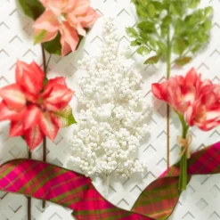 New The Jolly Christmas Shop Raz 32" White Glittered Berry Cluster Christmas Tree Spray F4302392