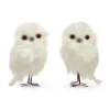 Discount The Jolly Christmas Shop Raz 4.5" White Owl Christmas Ornament Set Of 2 4403451