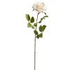 Outlet The Jolly Christmas Shop Raz 25.5" White Rose Stem Christmas Tree Pick F4402401
