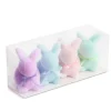 Hot The Jolly Christmas Shop Raz Box Set Of 4 6" Pastel Flocked Bunnies Easter Figures 4453324