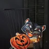 New The Jolly Christmas Shop Raz Jack O Lantern Pumpkin Or Scaredy Cat Cut Out Halloween Pillow