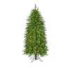 New The Jolly Christmas Shop Regency 5' LED Lighted Norfolk Pine Artificial Christmas Tree MTX72869L