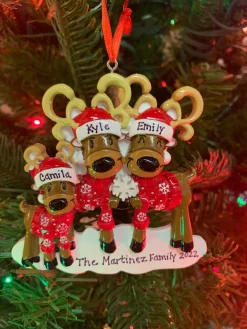 Clearance The Jolly Christmas Shop Reindeer Family Of 3 Personalized Christmas Ornament OR2256-3